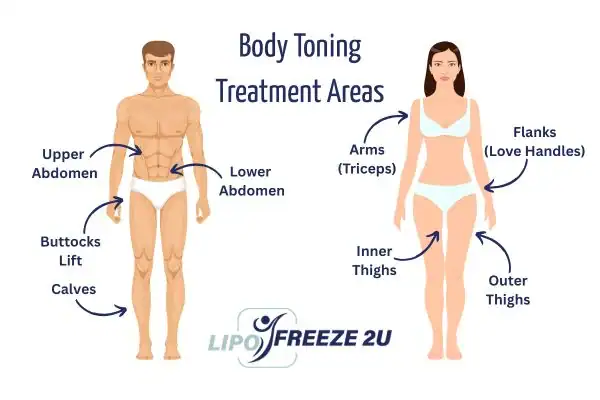Graphic showing where you can have Body toning Treatment Haverhill on your body